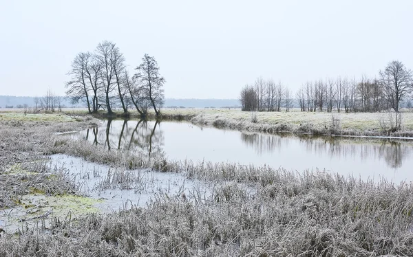 Późną jesienią — Zdjęcie stockowe