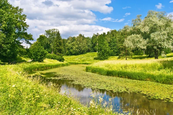 Zomer middag — Stockfoto