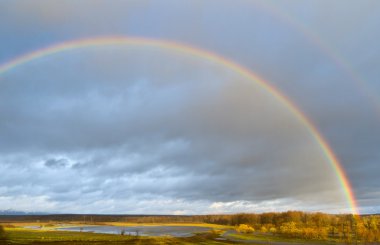 Gökkuşağının üstünde dibe bahar sel