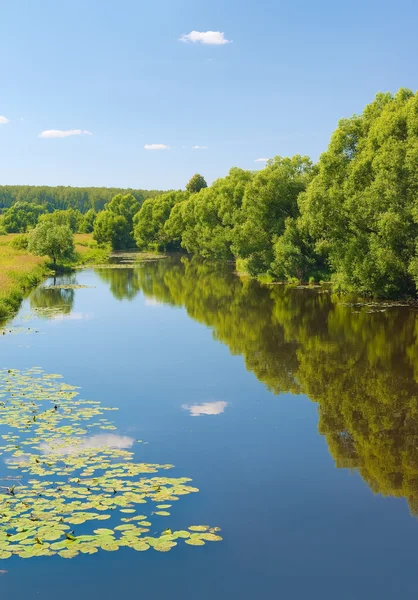 Desna river, Moskow region, Russia — Stock Photo, Image