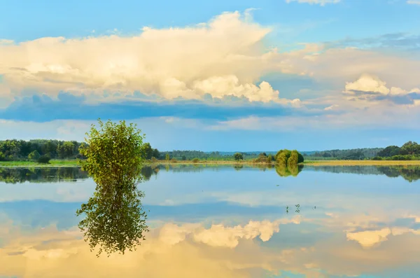 Sommaren flood — Stockfoto