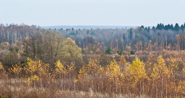 Herbst — Stockfoto