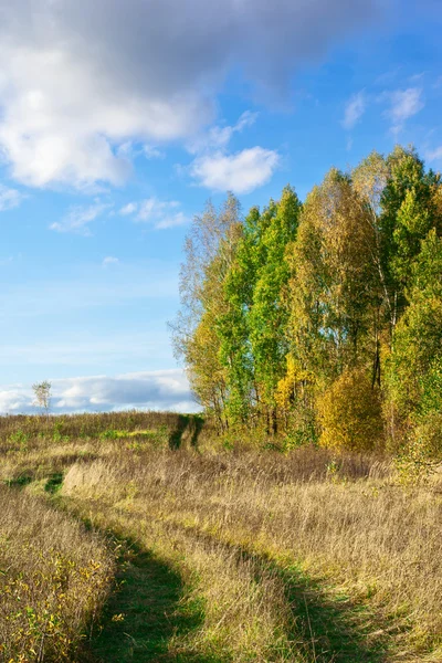 Landvei – stockfoto