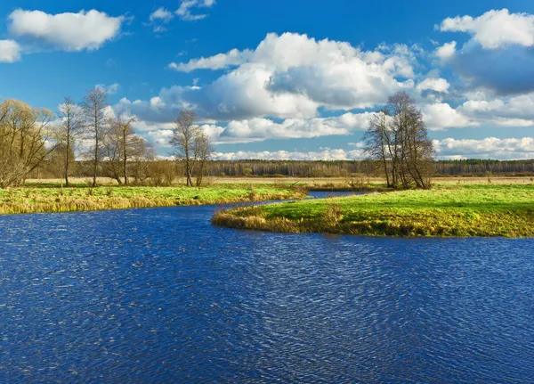 Blåsig dag på hösten — Stockfoto