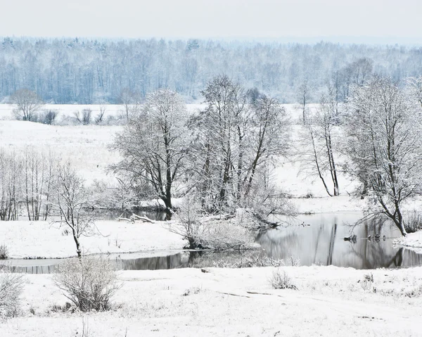 Prima neve — Foto Stock