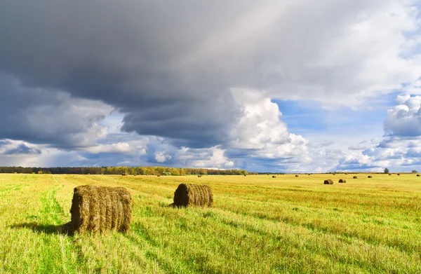 Herbstfeld — Stockfoto