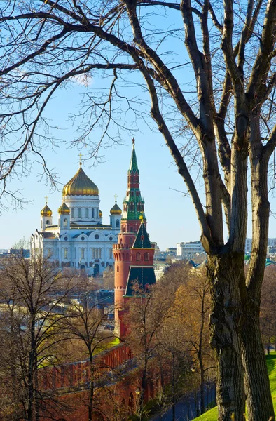 Moscow, Rusya Federasyonu — Stok fotoğraf