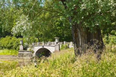 Pavlovsk Park
