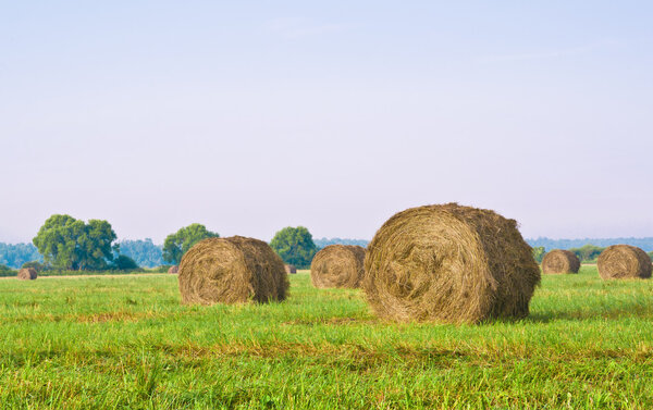 Haymaking time