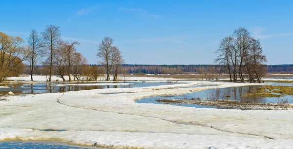 Våren scen — Stockfoto