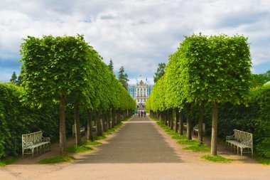 Catherine Park