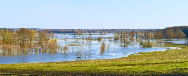 Frühjahrshochwasser — Stockfoto