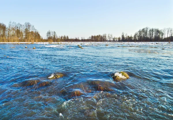 Un torrente — Foto Stock