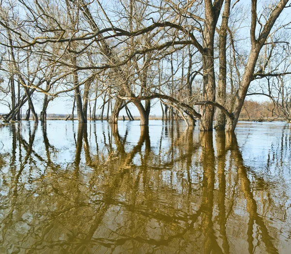 Wiosna powodzi — Zdjęcie stockowe