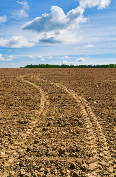 Kronkelende track — Stockfoto