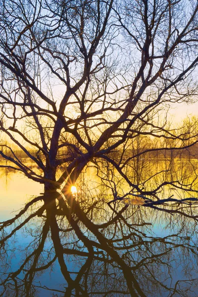 Våren morgonen — Stockfoto