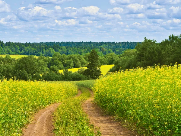 Проселочная дорога — стоковое фото