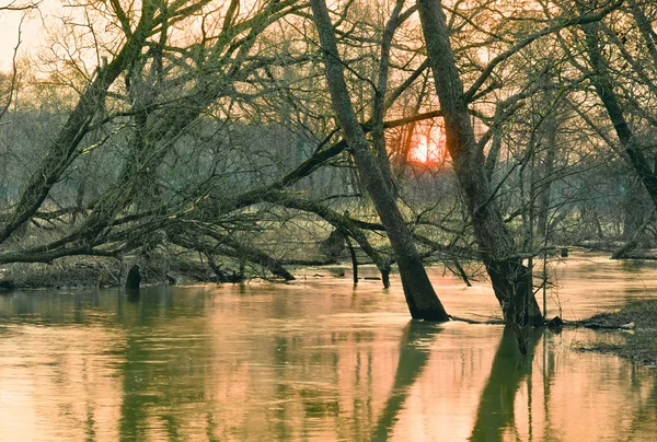 Pequeno rio na primavera. — Fotografia de Stock