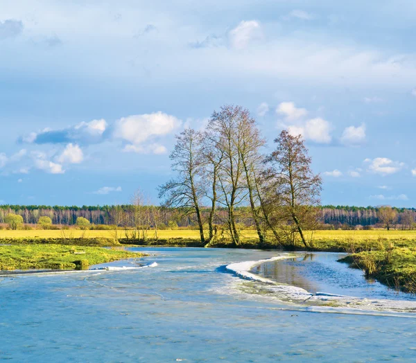 Frühlingsszene — Stockfoto