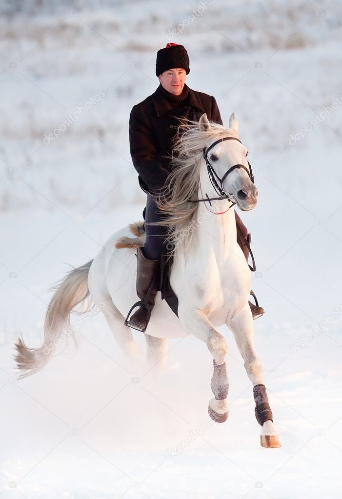 Winter horse riding — Stock Photo © Edoma 17462527
