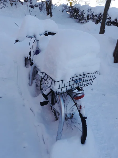 Bicycle winter — Φωτογραφία Αρχείου