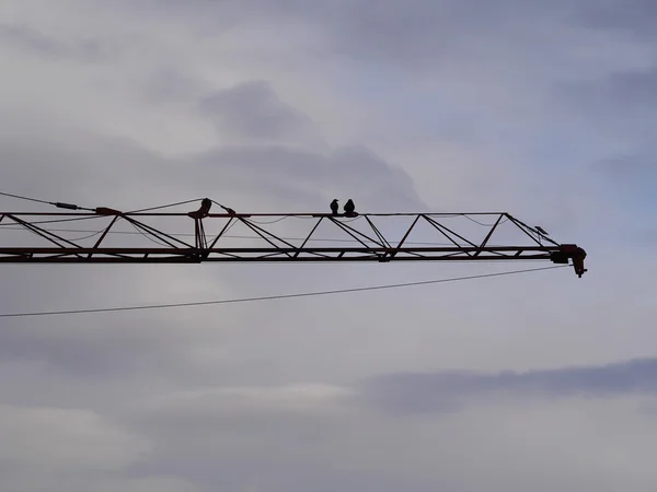Crane blue sky with two birds — Stok fotoğraf