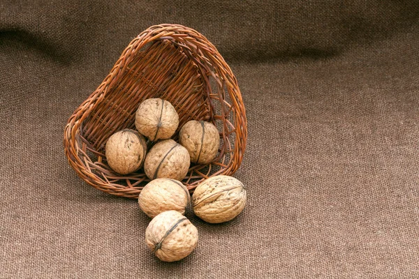 Walnuts in the old wicker basket on burlap — Stock Photo, Image