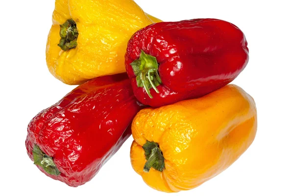 Old peppers isolated on white background — Stock Photo, Image