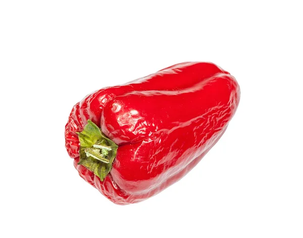 Old pepper isolated on white background — Stock Photo, Image