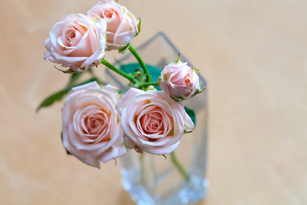 Rosas rosadas en un jarrón sobre un escritorio de madera — Foto de Stock