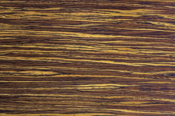 Wood Texture, WALNUT — Stock Photo, Image