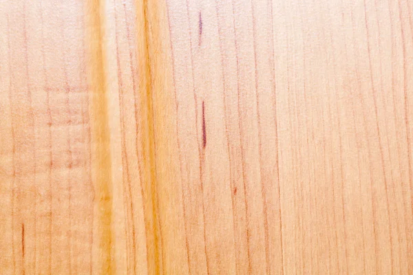 Texture of wood background closeup — Stock Photo, Image