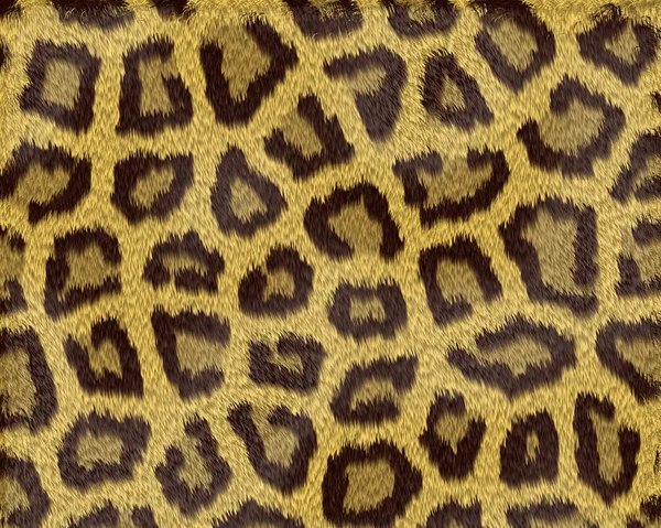 Texture of a short sand color leopard fur — Stock Photo, Image