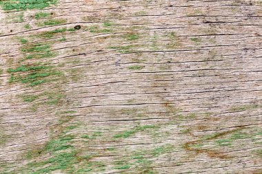 ahşap üzerine desen tahıllar