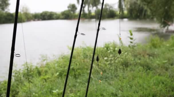 Oltaya yem takılmış oltalar gölün yanındaki yağmurda duruyor. Nehirde balık oltaları ve yağmurlu hava. — Stok video