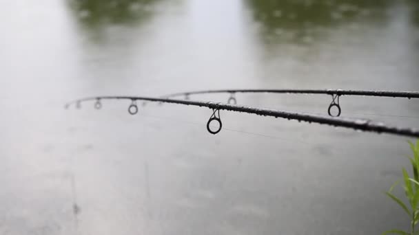 Καλάμια ψαρέματος και βροχερός καιρός στο ποτάμι. Η βροχή πέφτει στο νερό και δύο ράβδους στην ακτή — Αρχείο Βίντεο