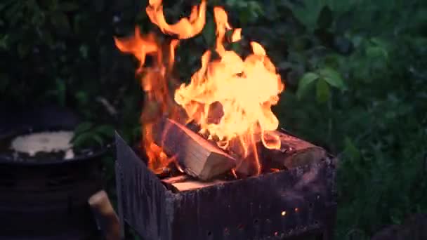 La main de l'homme réchauffe un barbecue sur un feu pour la viande grillée. Brûlures de feu Dans le brasero grill et des étincelles volent. Pique-nique nocturne dans la nature. Du charbon brûlant de flammes et de flammes. Barbecue au bois brûlant — Video