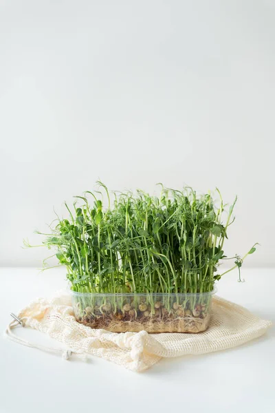 Vegetable Pea Sprouts Microgreens White Background Vegan Health Superfood — Stock Photo, Image