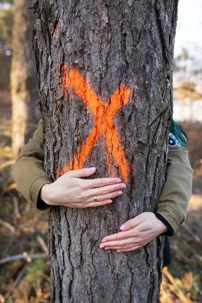 Das Mädchen Umarmt Einen Baum Der Mit Einem Orangefarbenen Zeichen — Stockfoto