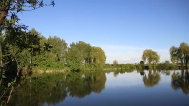Yeşil Park 'ta sakin bir gölet. Huzurlu göl kıyısında yeşil ağaçlar güneşli yaz gününde çamurlu suyla büyüyor. Dinlenme ve balık tutma yeri.