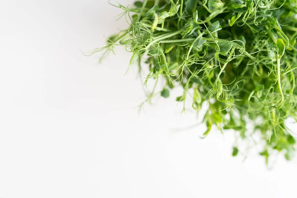 Plantaardige Erwten Spruiten Microgreens Witte Achtergrond Veganistische Gezondheid Superfood Bovenaanzicht — Stockfoto