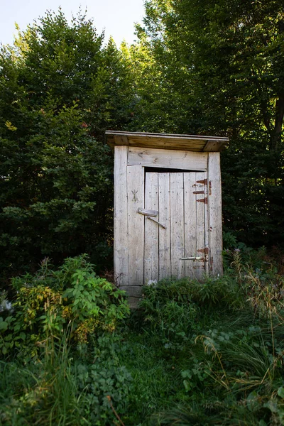Holztoilette Einem Waldhain Draußen Toilette Rustikalen Stil — Stockfoto