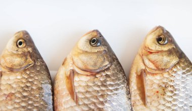 Taze yakalanmış haç balığı beyaz bir tezgahta yatıyor. Yukarıdan görüntüle