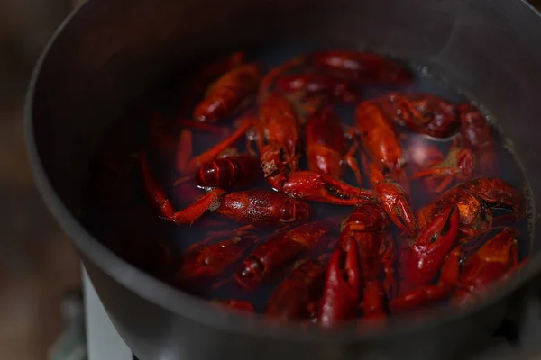 Los Cangrejos Río Frescos Rojos Hierven Una Cacerola Cangrejo Río —  Fotos de Stock