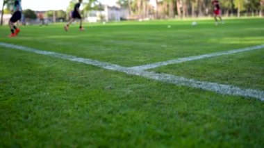 Genç futbolcular spor sahasında çimen kaplamayla birlikte antrenman yapıyorlar. Alt manzara. Seçici odak