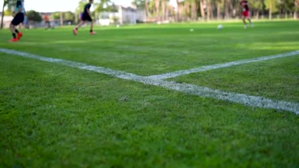 Genç Futbolcular Spor Sahasında Çimen Kaplamayla Birlikte Antrenman Yapıyorlar Alt — Stok video