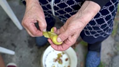 An elderly woman peels apricots and removes the pit from the fruit for subsequent preservation and cooking jam. Wrinkled hands of a working grandmother close-up. Selective focus