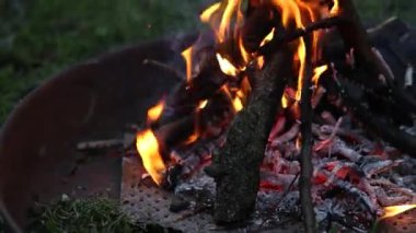 Bright flame of burning bonfire in a metal ring on the grass in evening at sunset of day in summer. Burning branches in the fire, tongues of flame in dark - closeup. Hiking. Tourism. Travel. Lifestyle