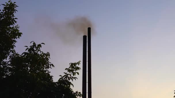 Dois Tubos Fábrica Industrial Produzem Fumaça Química Noite Perto Árvores — Vídeo de Stock