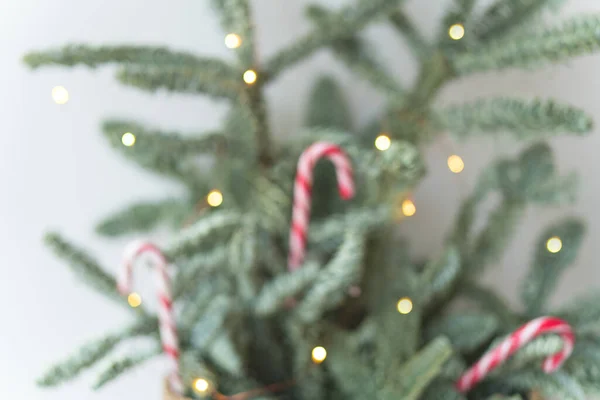 Albero Natale Decorato Con Bastoncini Zucchero Luci Sfondo Sfocato Preparazione — Foto Stock